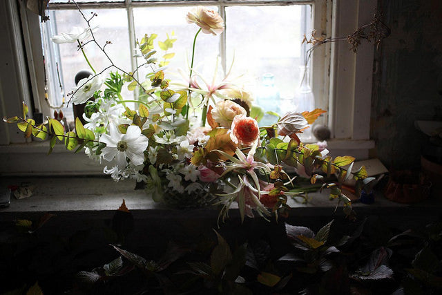 THOUGHTS FROM SARAH OF SAIPUA