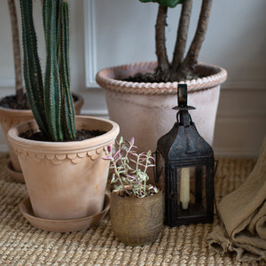 Antique Weathered 19th Century French Lantern
