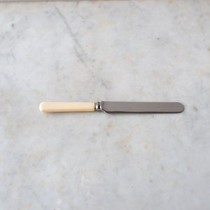 Vintage Faux Bone Handle Knife Set 1
