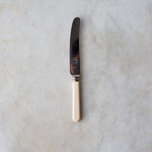 Vintage Faux Bone Handle Knife Set 2
