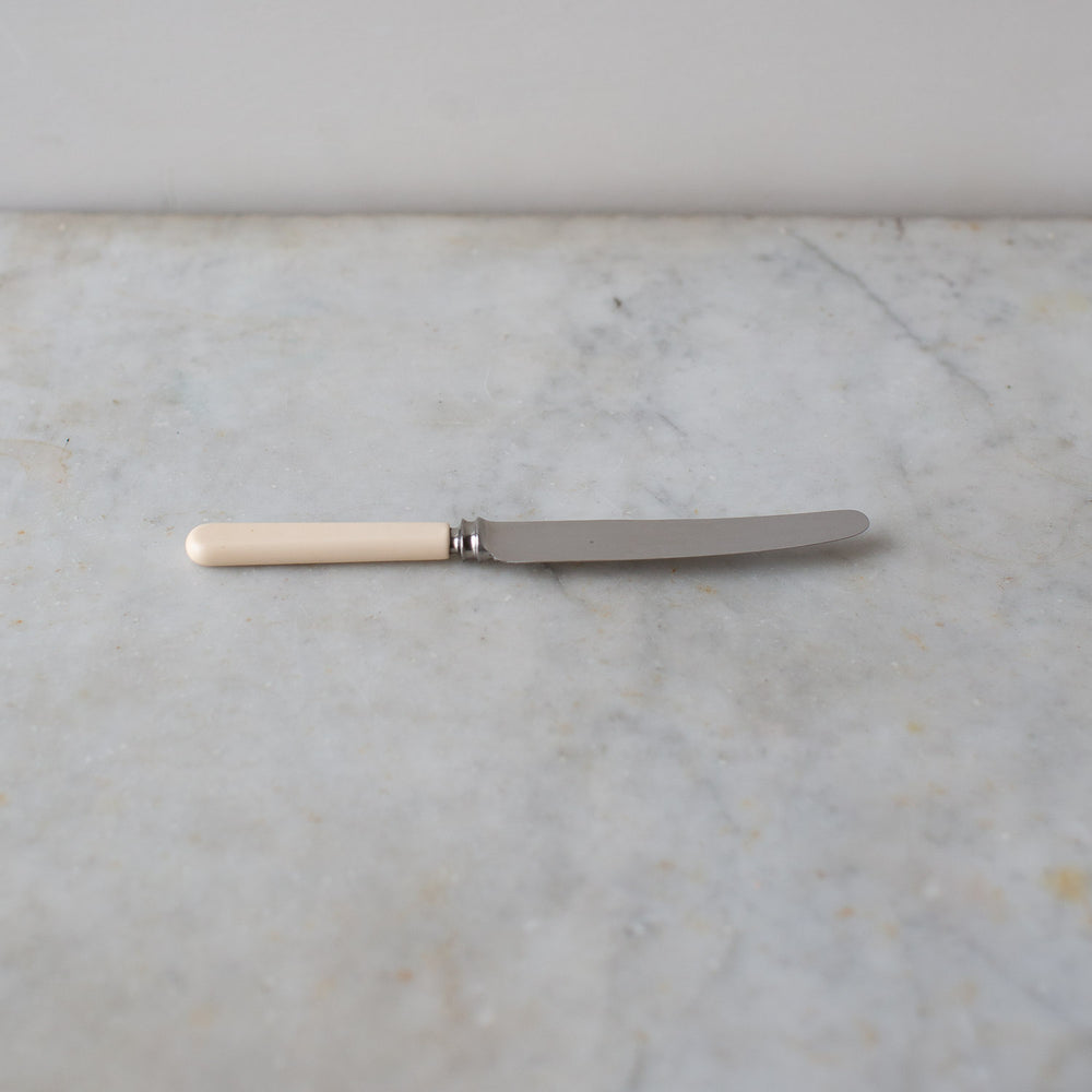 Vintage Faux Bone Handle Knife Set 2