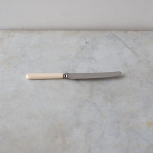 Vintage Faux Bone Handle Knife Set 2
