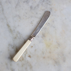 Vintage Faux Bone Handle Small Butter Knife Set