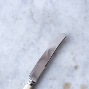 Vintage Sheffield England Faux Bone Handle Knife Set II