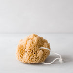 INGREDIENTS LDN natural sponge 